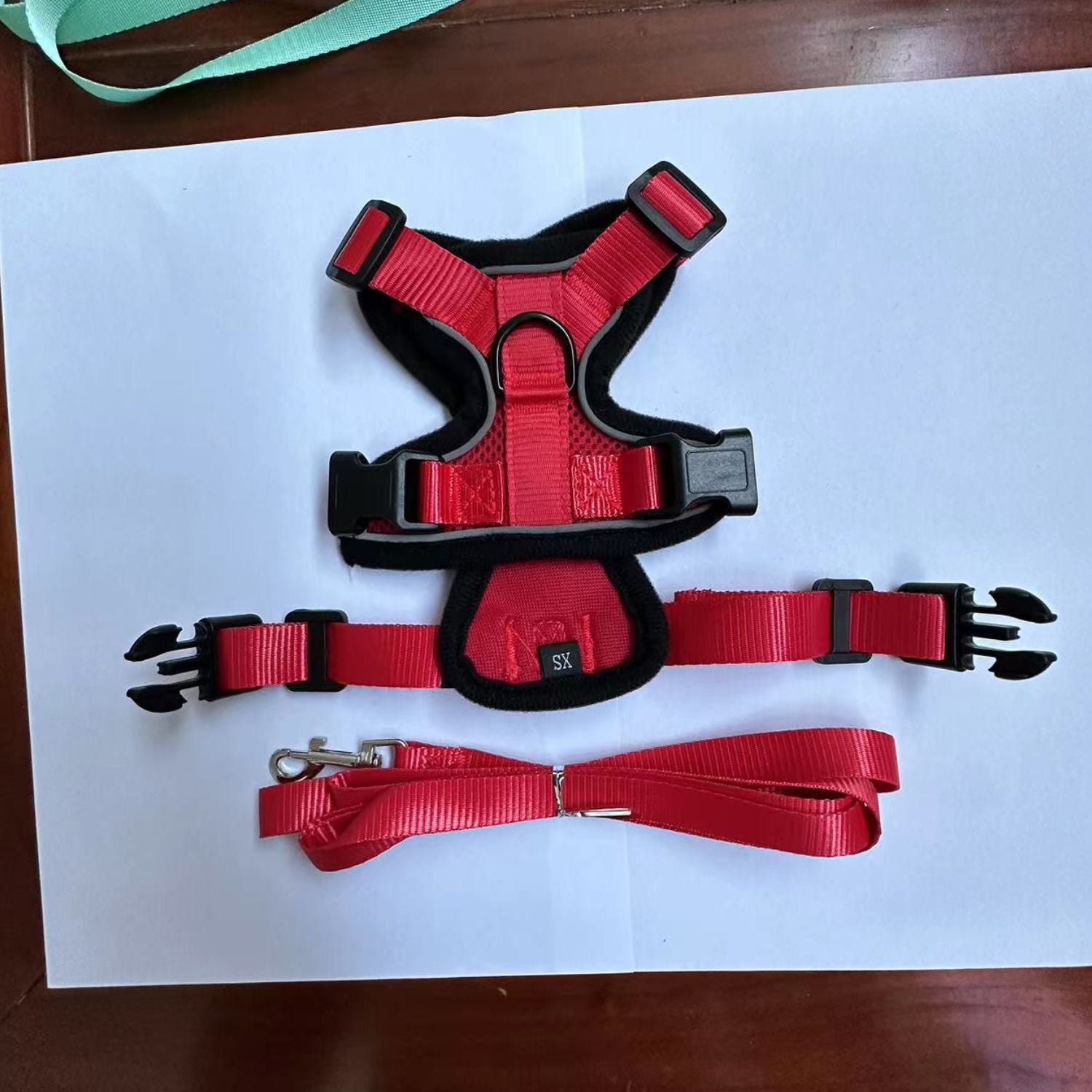 Veilig Kattenharnas met verstelbare borstband en veilige lijn